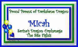 Micah my adopted dragon